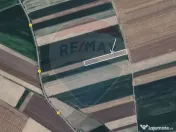 Teren extravilan 2 parcele de 9.750 mp - Satul Nou, comun... 