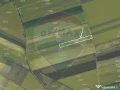 Teren extravilan 2 parcele de 9.750 mp - Satul Nou, comun... 