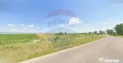 Teren extravilan 2 parcele de 9.750 mp - Satul Nou, comun... 