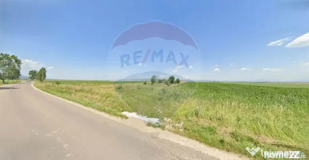 Teren extravilan 2 parcele de 9.750 mp - Satul Nou, comun...