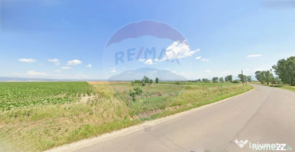 Teren extravilan 2 parcele de 9.750 mp - Satul Nou, comun...