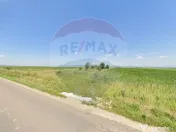 Teren extravilan 2 parcele de 9.750 mp - Satul Nou, comun... 