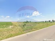 Teren extravilan 2 parcele de 9.750 mp - Satul Nou, comun... 