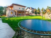 Vilă P+E+M cu 4 camere, 294 mp, Berceni/Ilfov 