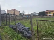 Palazu Mare , teren 1000 mp 