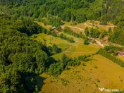 Teren 20000 mp, sat Dalghiu, com Vama Buzaului 