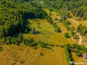 Teren 20000 mp, sat Dalghiu, com Vama Buzaului 