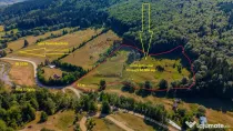 Teren 20000 mp, sat Dalghiu, com Vama Buzaului