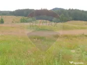 Teren 20000 mp, sat Dalghiu, com Vama Buzaului 