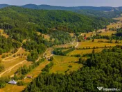 Teren 20000 mp, sat Dalghiu, com Vama Buzaului 