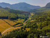 Teren 20000 mp, sat Dalghiu, com Vama Buzaului 