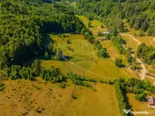 Teren 20000 mp, sat Dalghiu, com Vama Buzaului 