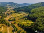Teren 20000 mp, sat Dalghiu, com Vama Buzaului 