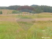 Teren 20000 mp, sat Dalghiu, com Vama Buzaului 