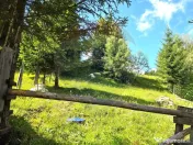 Teren de vis în Fundata 1934mp sau 3868mp, la înălțim... 