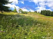 Teren de vis în Fundata 1934mp sau 3868mp, la înălțim... 