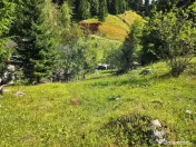 Teren de vis în Fundata 1934mp sau 3868mp, la înălțim... 