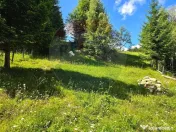 Teren de vis în Fundata 1934mp sau 3868mp, la înălțim... 