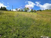Teren de vis în Fundata 1934mp sau 3868mp, la înălțim... 