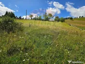 Teren de vis în Fundata 1934mp sau 3868mp, la înălțim... 