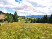 Teren de vis în Fundata 1934mp sau 3868mp, la înălțim... 