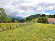 Teren de vis în Fundata 1934mp sau 3868mp, la înălțim... 