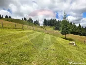 Teren de vis în Fundata 1934mp sau 3868mp, la înălțim... 