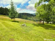 Teren de vis în Fundata 1934mp sau 3868mp, la înălțim... 