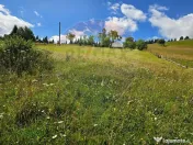 Teren de vis în Fundata 1934mp sau 3868mp, la înălțim... 