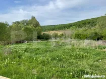 Teren intravilan de vânzare, 2169 mp – Str. Remetea, Târ