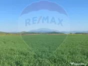 PUZ aprobat | Complex Agroturistic, Unități de Cazare, ... 