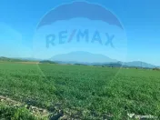 PUZ aprobat | Complex Agroturistic, Unități de Cazare, ... 