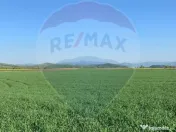 PUZ aprobat | Complex Agroturistic, Unități de Cazare, ... 