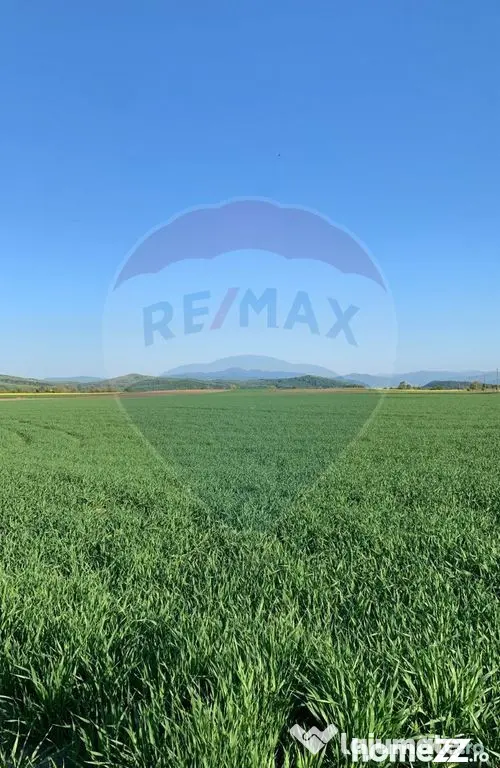 PUZ aprobat | Complex Agroturistic, Unități de Cazare, ...