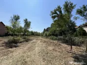 Teren cu deschidere la Lac Snagov. 