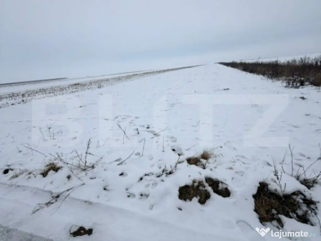 Teren de vanzare, 9000 mp, cartier Izvor - Tarlungeni - 105.