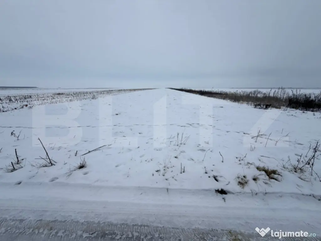 Teren de vanzare, 9000 mp, cartier Izvor - Tarlungeni - 105.