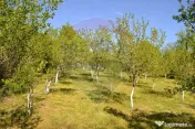 Casă / Vilă de vânzare Picior de Munte, Dambovita 