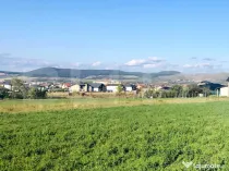 Teren intravilan, 600 mp, front 14,5 ml – Nazareth, Alba I