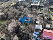 Teren intravilan BIDIDIA, zona deosebita, 550MP 