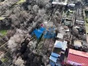 Teren intravilan BIDIDIA, zona deosebita, 550MP 