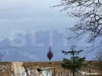 Teren în suprafață de 80.000 mp, situat în Glăjerie –