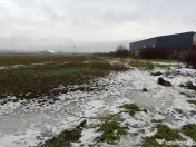 Oraș Popești-Leordeni, teren, zona industriala cu utilitati! 