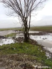 Oraș Popești-Leordeni, teren, zona industriala cu utilitati! 