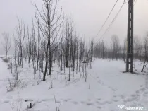 Teren intravilan , 5000mp, zona Negostina, Siret
