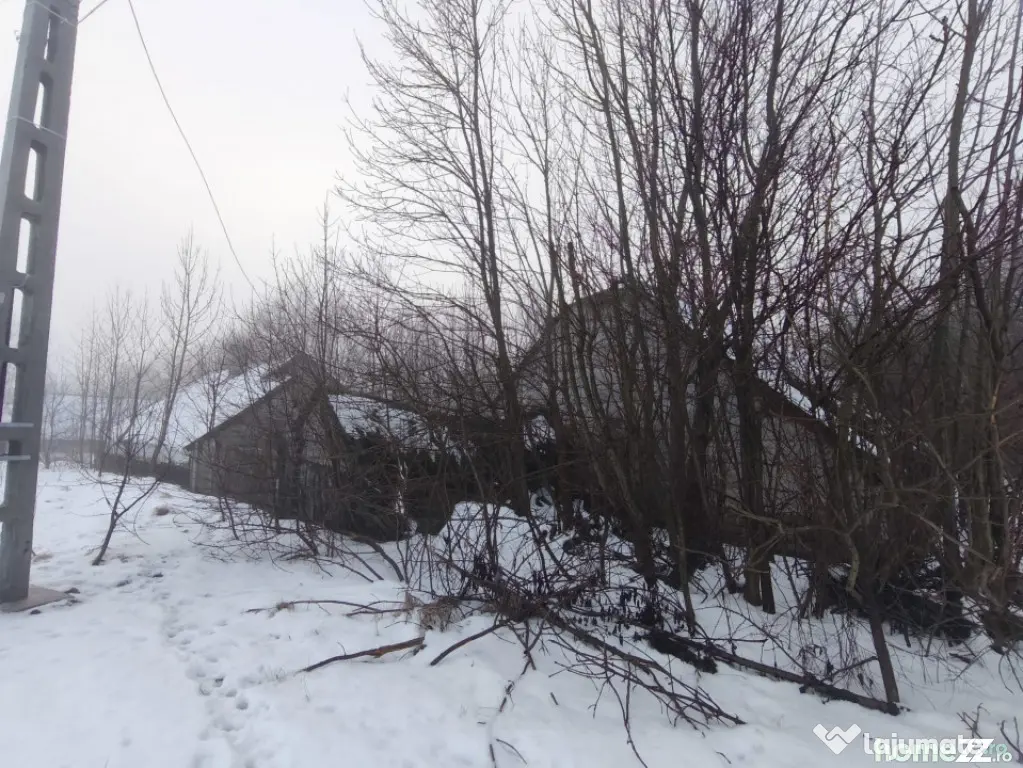 Teren intravilan , 5000mp, zona Negostina, Siret - Negostina (Suceava)