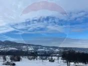 Teren de vanzare in Manastirea 