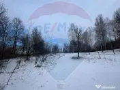 Teren de vanzare in Manastirea 