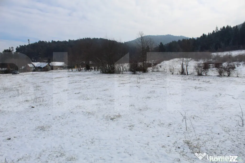 Teren intravilan 4.655 mp în Covasna – zonă liniștită,