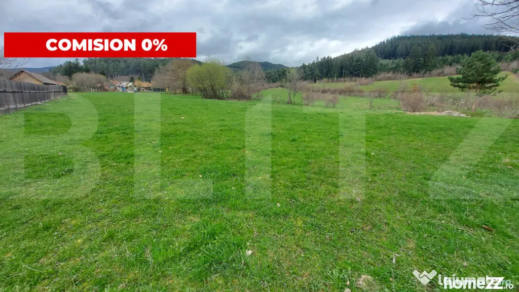 Teren intravilan 4.655 mp în Covasna – zonă liniștită,